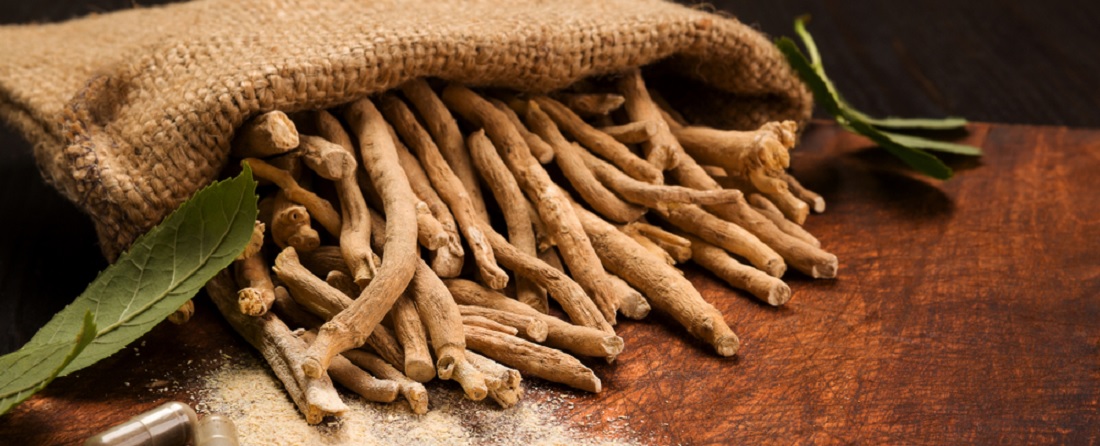 KSM-66® Ashwagandha: The Ultimate Stress Reliever for the Busy UK Lifestyle