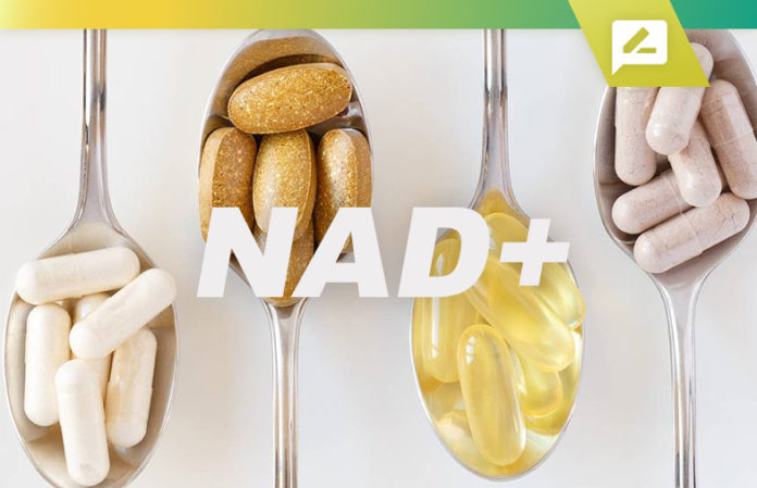 NAD+ Supplements