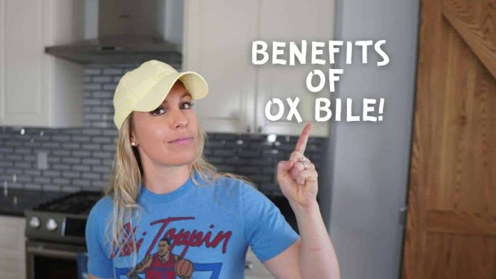 Ox Bile Supplements