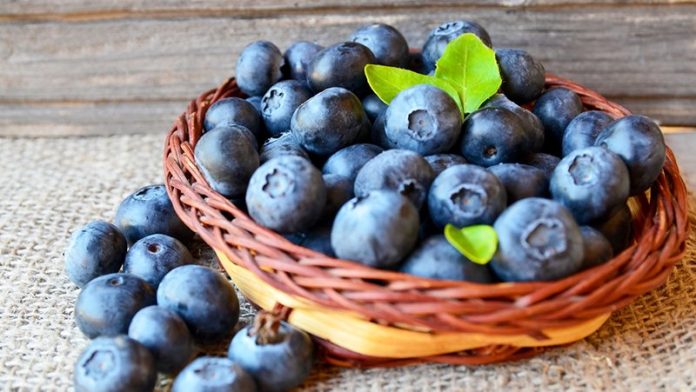 Quercetin