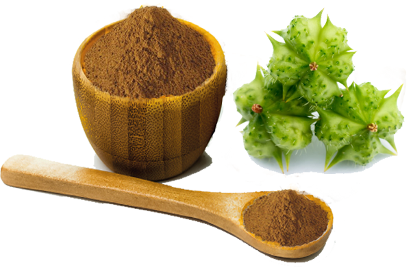 Tribulus Terrestris in the UK: A Comprehensive Guide